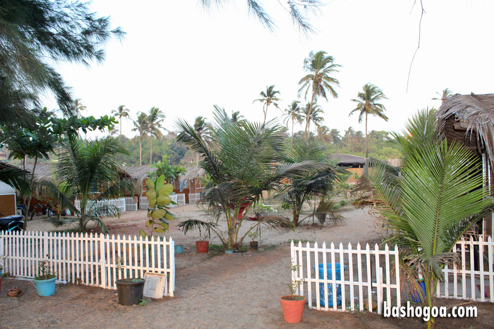 beach-huts-arambol-goa (1)